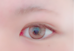 レビュー写真