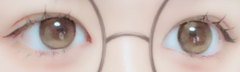 レビュー写真