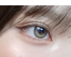 レビュー写真