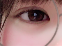 レビュー写真