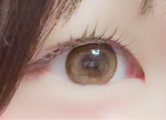 レビュー写真
