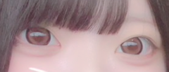 レビュー写真