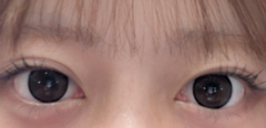 レビュー写真