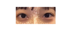 レビュー写真