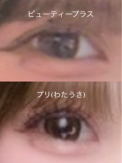 レビュー写真