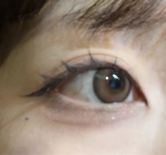 レビュー写真