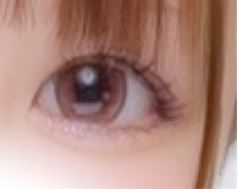 レビュー写真