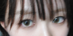 レビュー写真