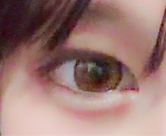 レビュー写真