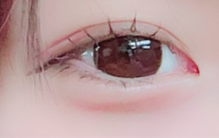 レビュー写真