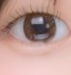 レビュー写真
