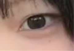 レビュー写真