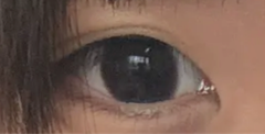 レビュー写真