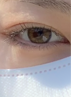 レビュー写真