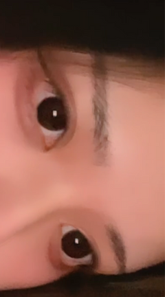 レビュー写真