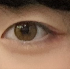 レビュー写真