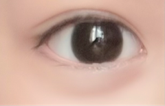 レビュー写真