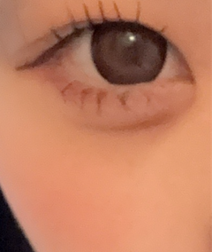 レビュー写真