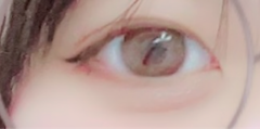 レビュー写真