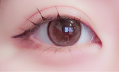 レビュー写真
