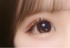 レビュー写真