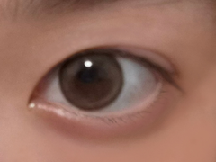 レビュー写真