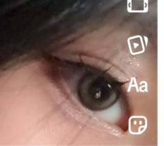 レビュー写真