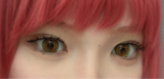 レビュー写真