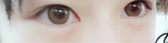 レビュー写真