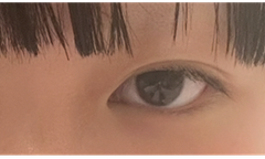 レビュー写真