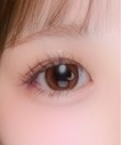 レビュー写真