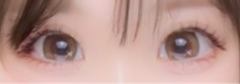 レビュー写真