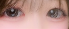 レビュー写真
