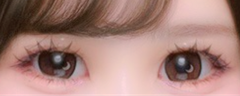 レビュー写真