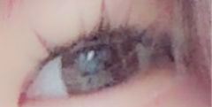 レビュー写真