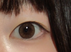 レビュー写真