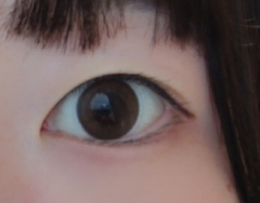 レビュー写真