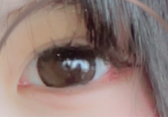 レビュー写真