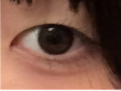 レビュー写真