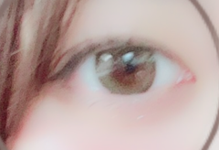 レビュー写真