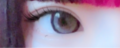 レビュー写真