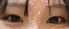 レビュー写真