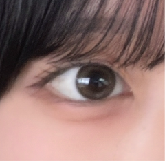 レビュー写真