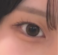 レビュー写真