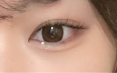 レビュー写真