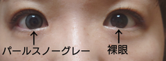 レビュー写真