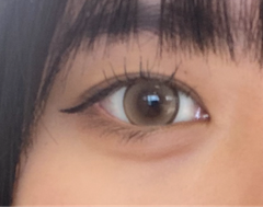 レビュー写真