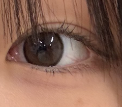 レビュー写真