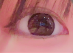 レビュー写真