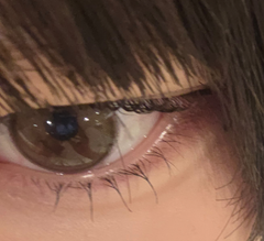 レビュー写真
